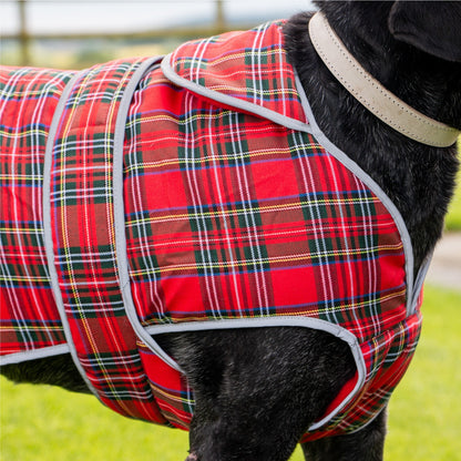 Ancol Muddy Paws Highland Tartan Dog Coat - Red