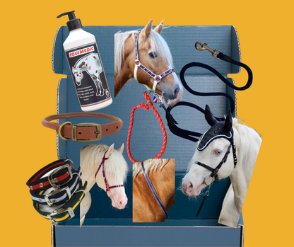 Mystery Box - Horse and Dog Accessories from Libbys