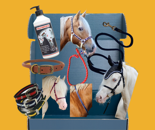 Mystery Box - Horse and Dog Accessories from Libbys