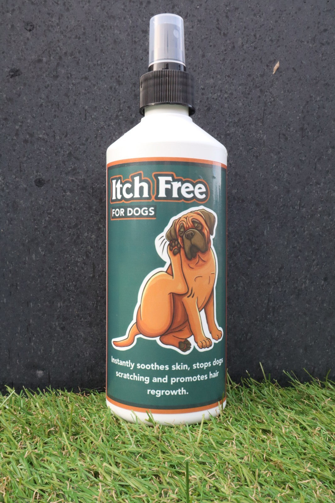 Itch Free For Dogs - Anti Itch Pet Care Lotion for Dogs
