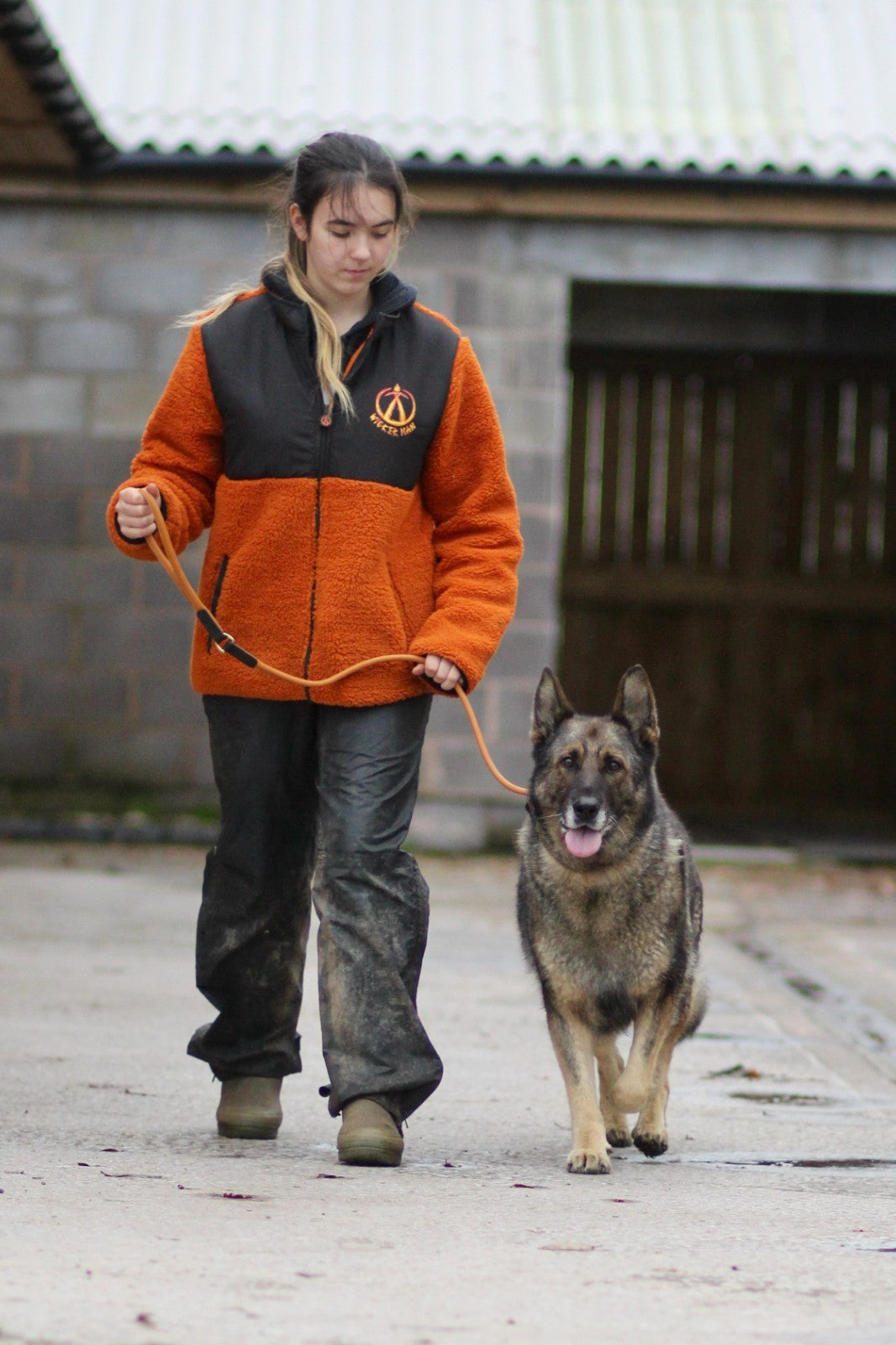 Tan Brown Soft Rolled Leather Slip Lead