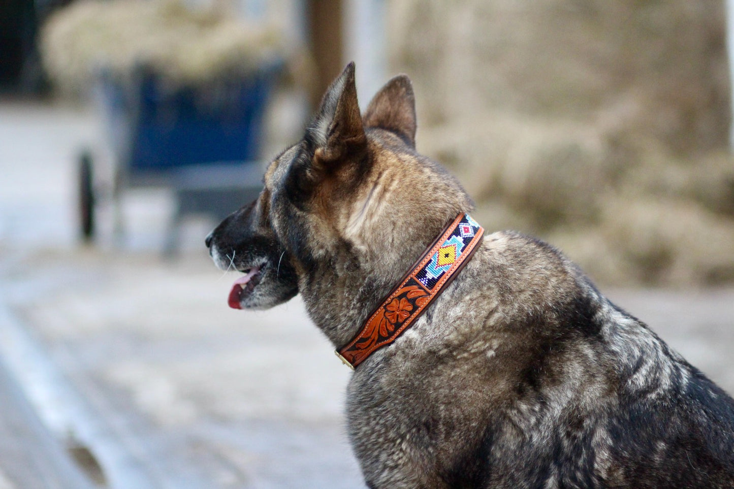 Hand Tooled Brown Padded Beaded Leather Dog Collar