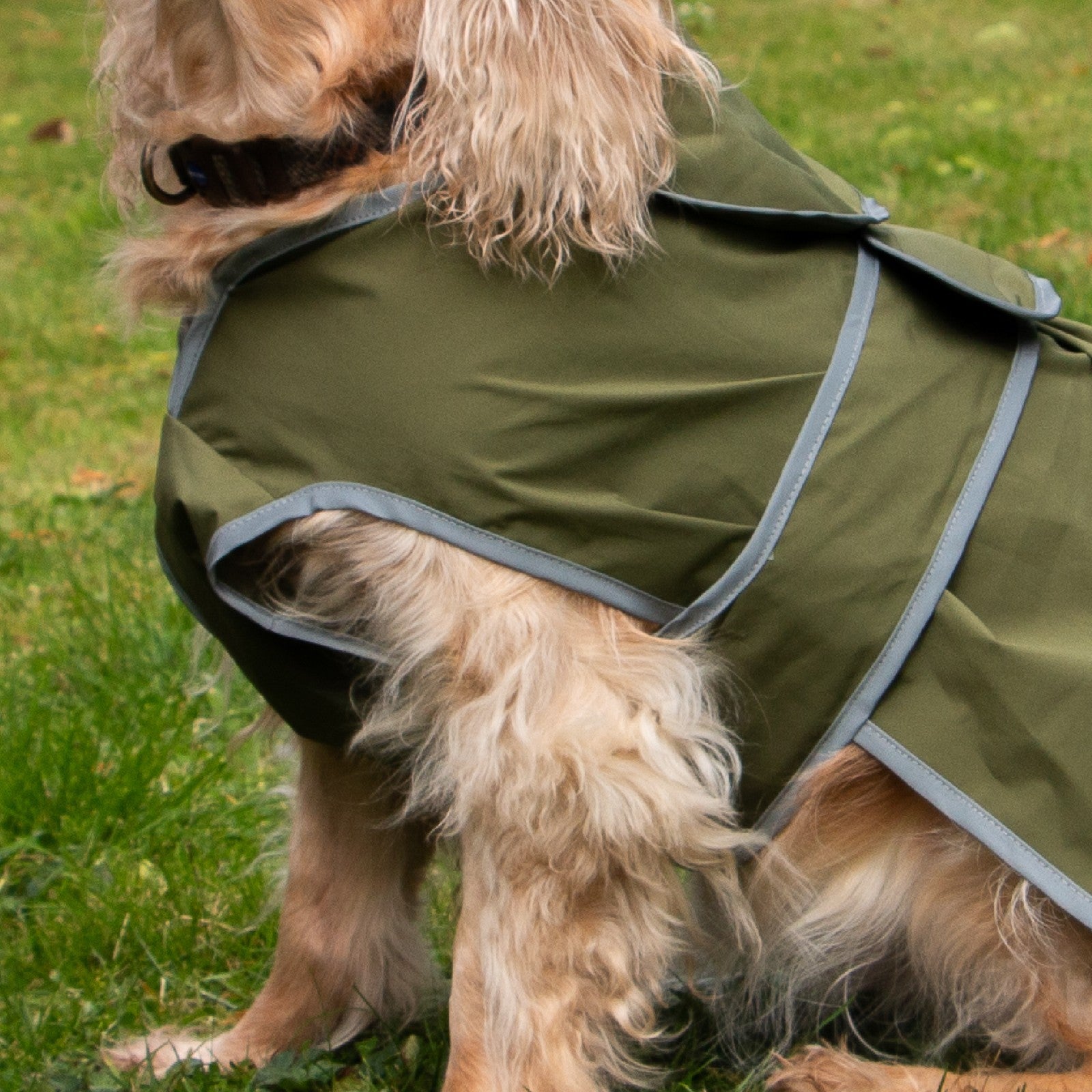 Stormguard Softshell Waterproof Dog Coat