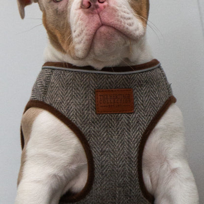 Heritage Country Check Step In Dog Harness