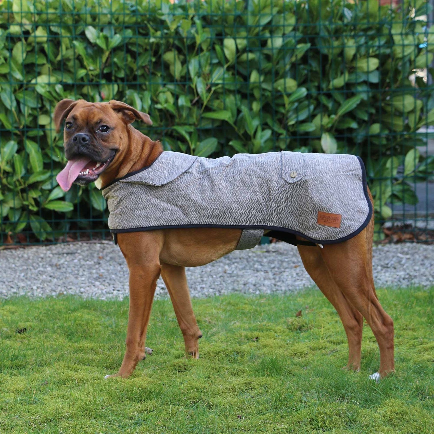 Ancol Heritage Dog Coat - Large and X Large
