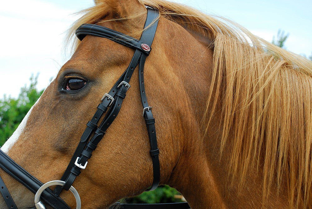 Windsor Economy Leather Bridle with Cavesson or Flash Noseband