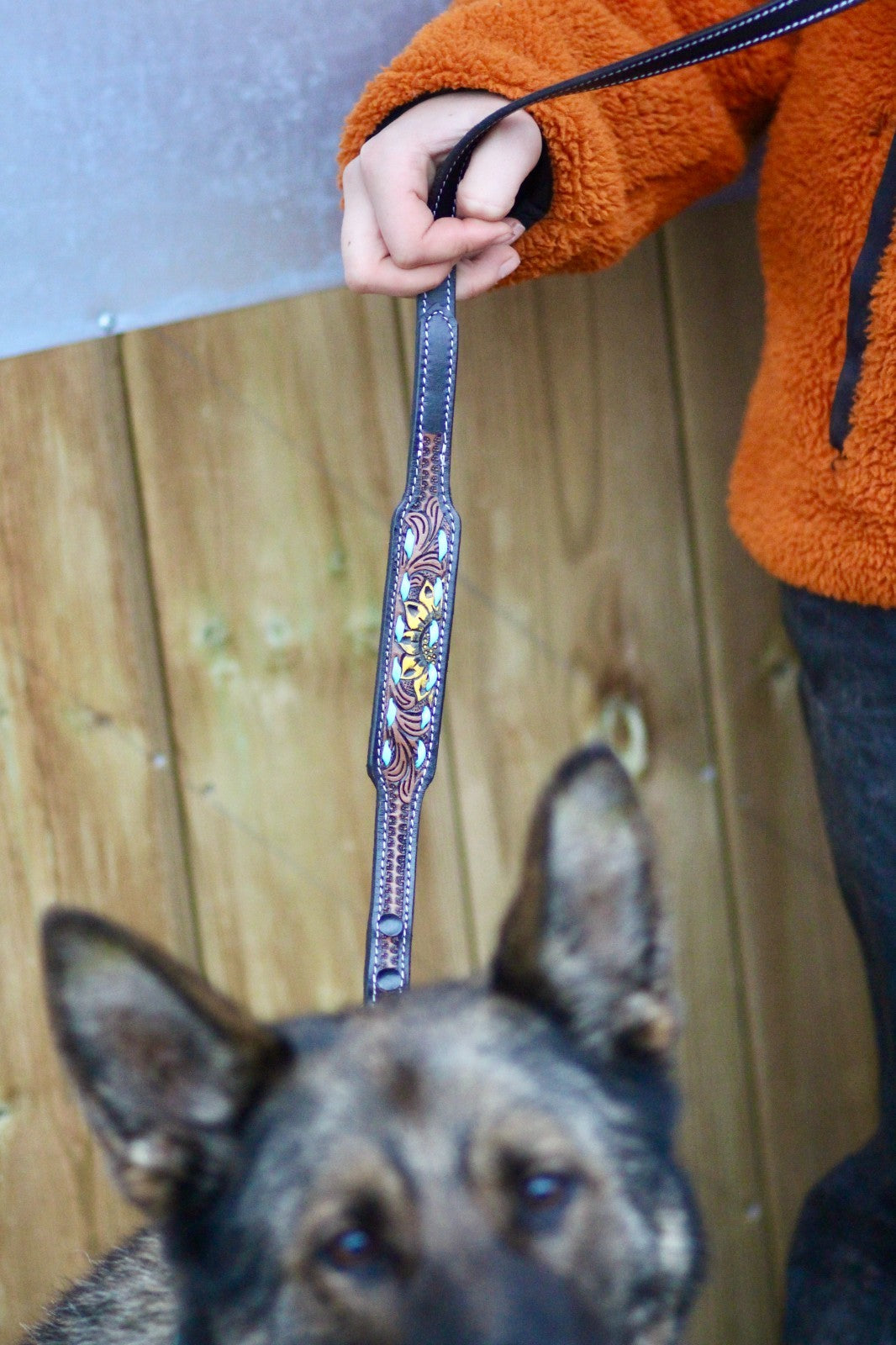 Sunflower Decorated Hand Tooled Padded Leather Dog Collar with Matching Lead