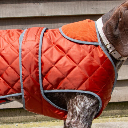 Ancol Heritage Quilted Waterproof Dog Coat