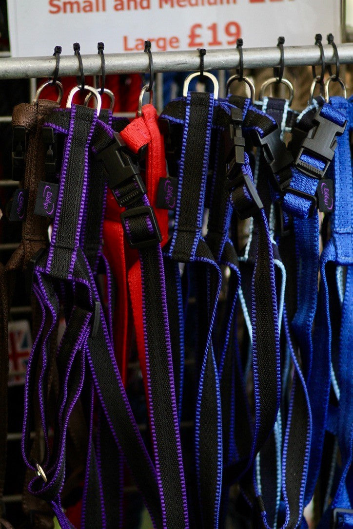 Mystery Box - Horse and Dog Accessories from Libbys