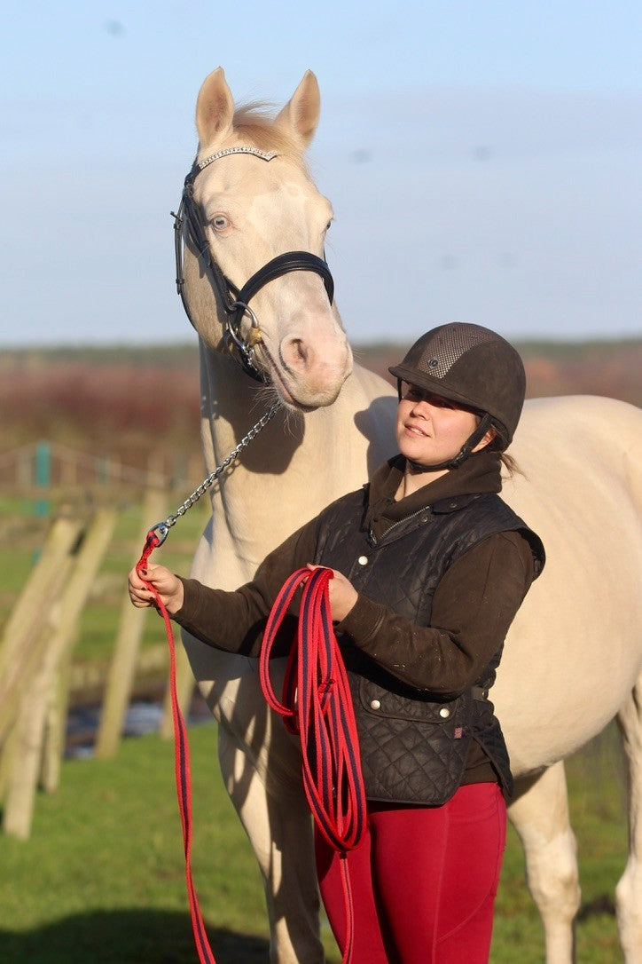 Official Libbys Air Web Stallion Lead Line with Chain