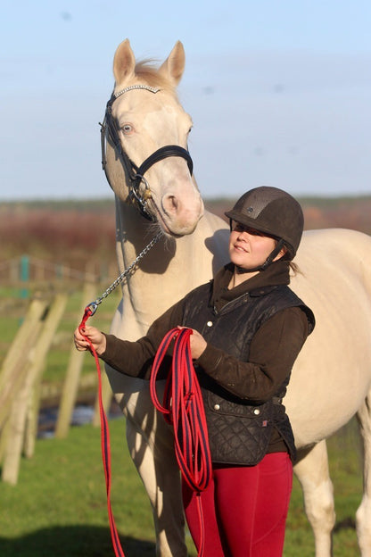 Official Libbys Air Web Stallion Lead Line with Chain