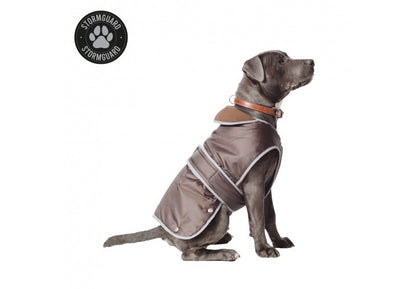 Ancol Stormguard Waterproof Dog Coat