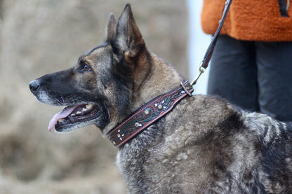 Decorative Hand Tooled Padded Leather Collar and Matching Lead Set