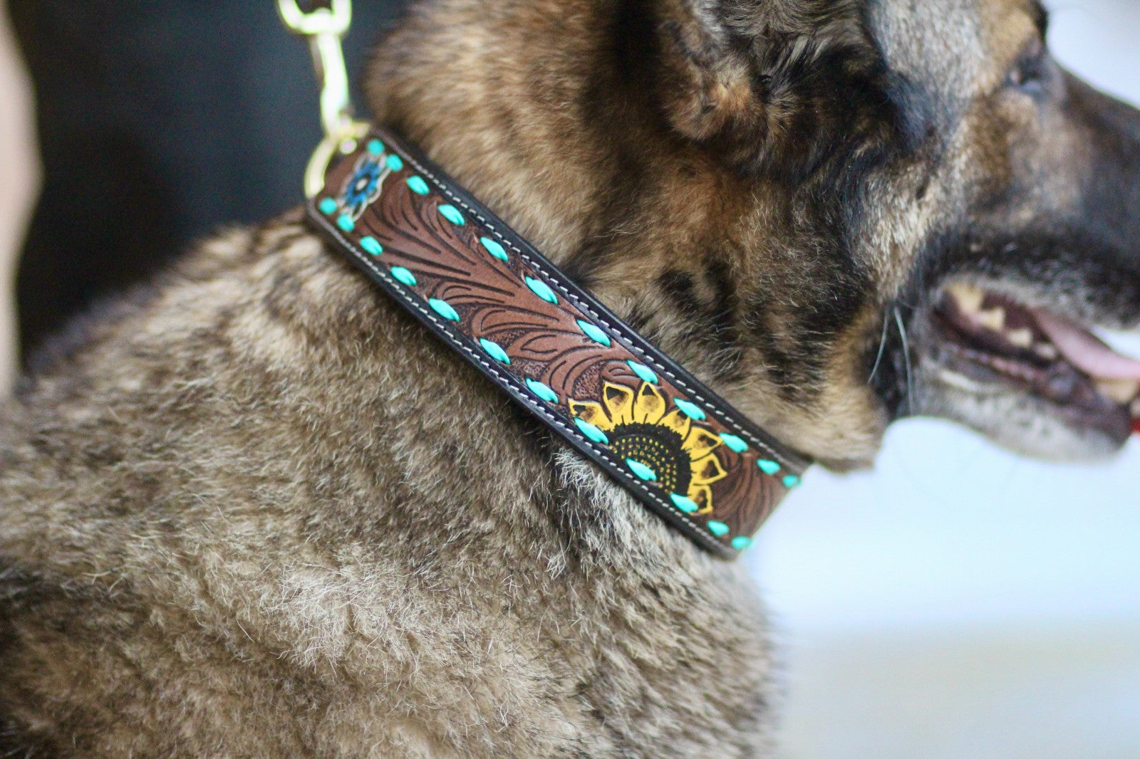 Sunflower Decorated Hand Tooled Padded Leather Dog Collar with Matching Lead