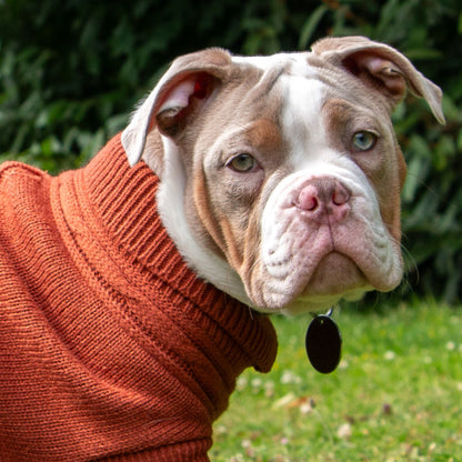 Ancol Cable Knit Dog Jumper