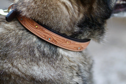 Padded Hand Tooled Tan Leather Dog Collar with Matching Lead