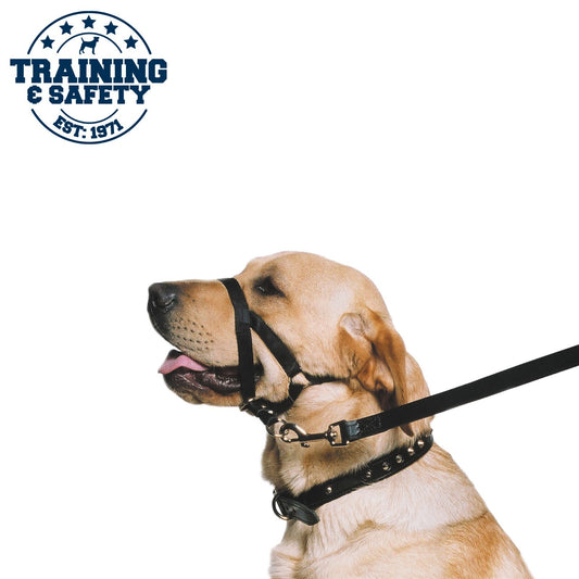 Ancol Nylon Dog Training Halter Black - Perfect For Dogs Who Pull
