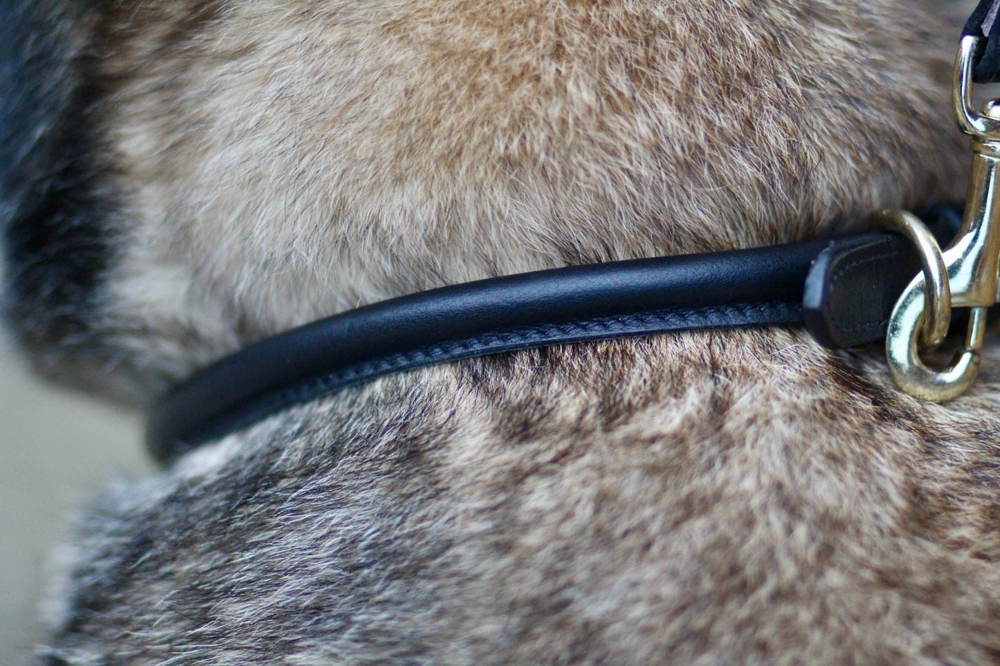Soft Rolled Leather Dog Collar - Black