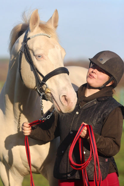 Official Libbys Air Web Stallion Lead Line with Chain