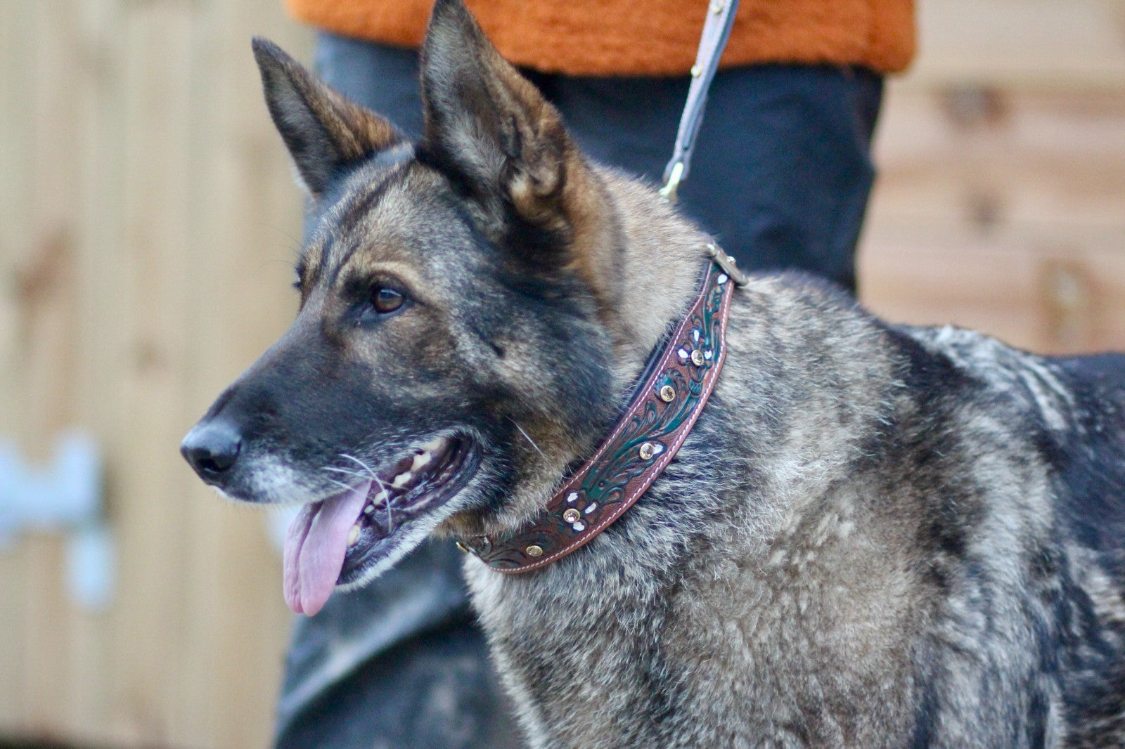 Decorative Hand Tooled Padded Leather Collar and Matching Lead Set