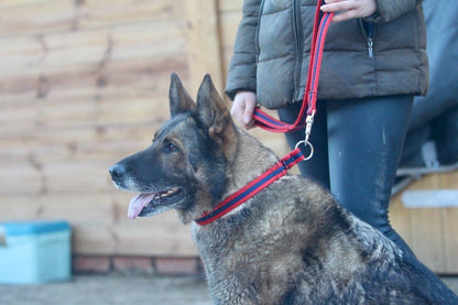 Official Libbys Air Web Slip Collar