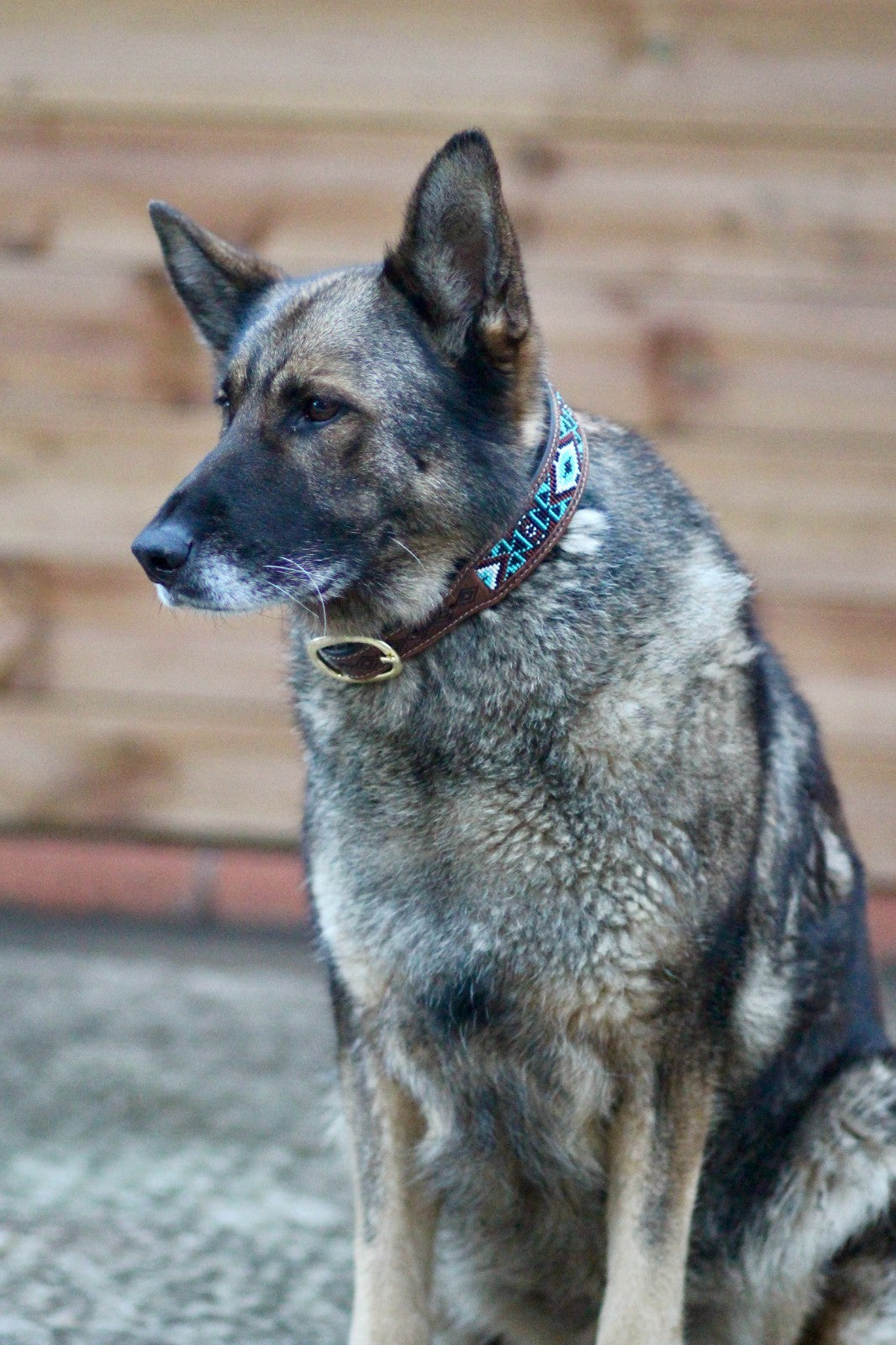 Padded Brown Leather Beaded Dog Collar