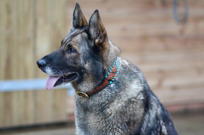Hand Tooled Brown Padded Leather Dog Collar