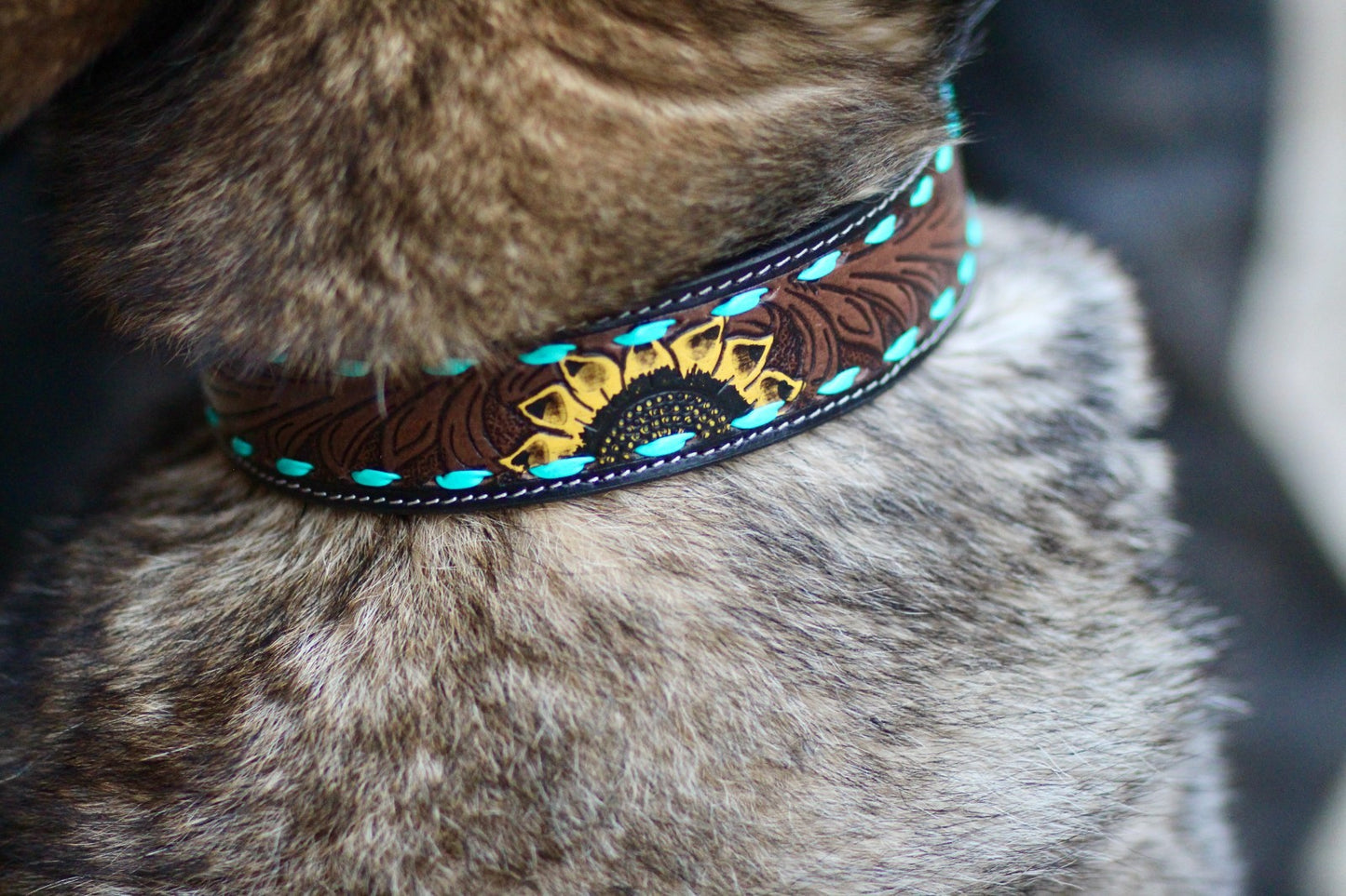 Sunflower Decorated Hand Tooled Padded Leather Dog Collar with Matching Lead