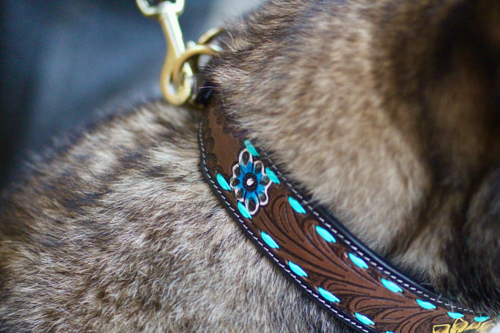 Sunflower Decorated Hand Tooled Padded Leather Dog Collar with Matching Lead