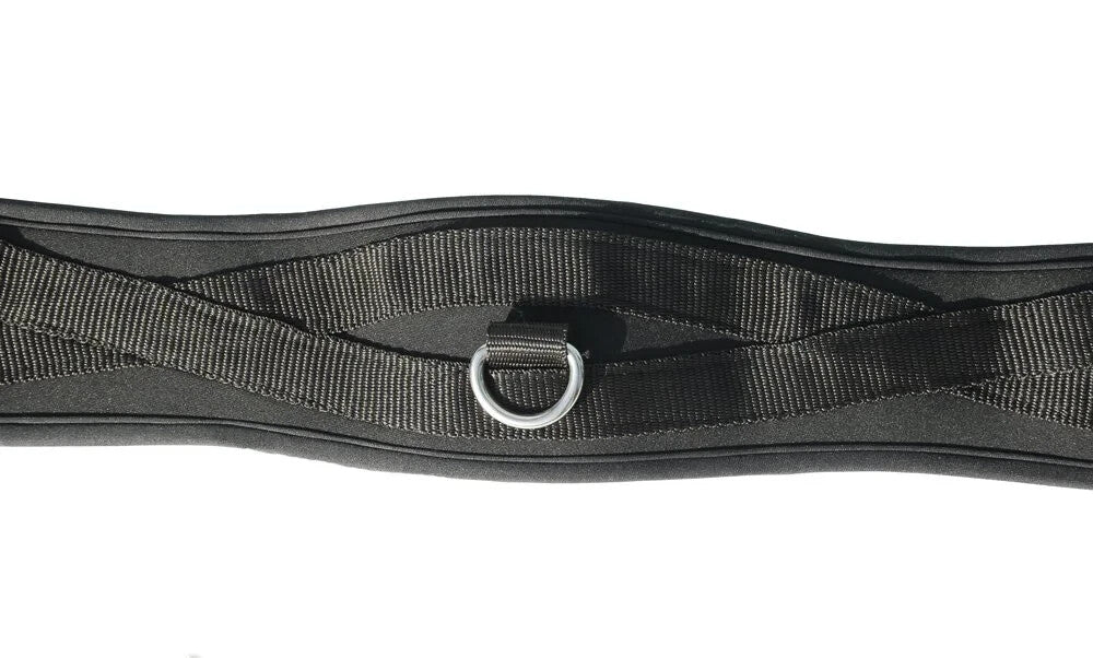 Padded Memory Foam Girth | Anatomically Shaped | Elastic End | Black,