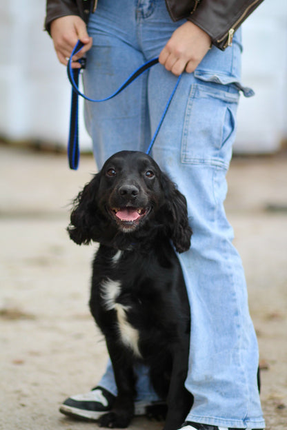 Official Libby's Webbing Slip Lead