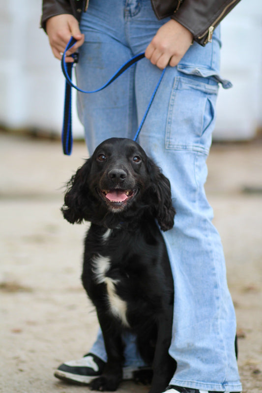 Official Libby's Webbing Slip Lead