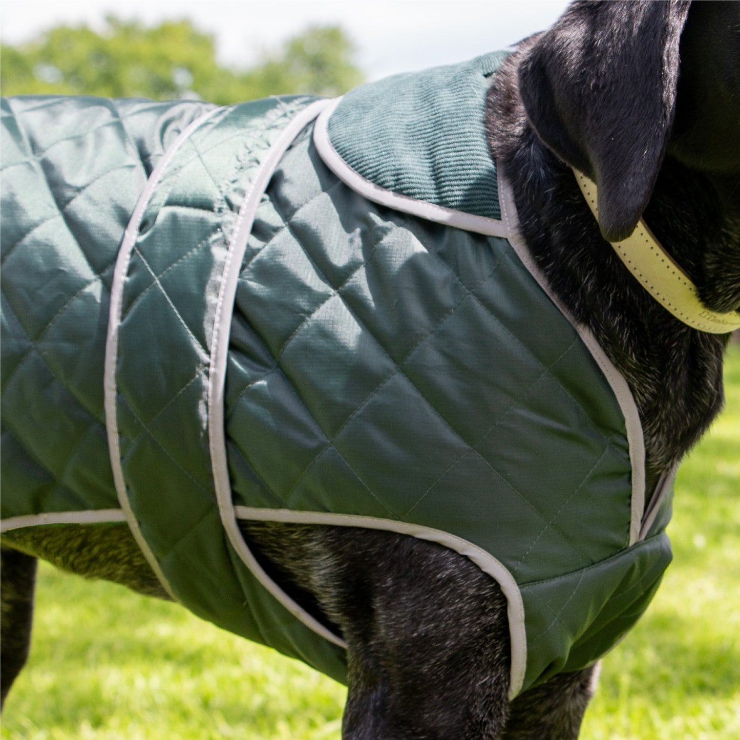 Ancol Heritage Quilted Waterproof Dog Coat