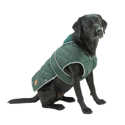 Ancol Heritage Quilted Waterproof Dog Coat