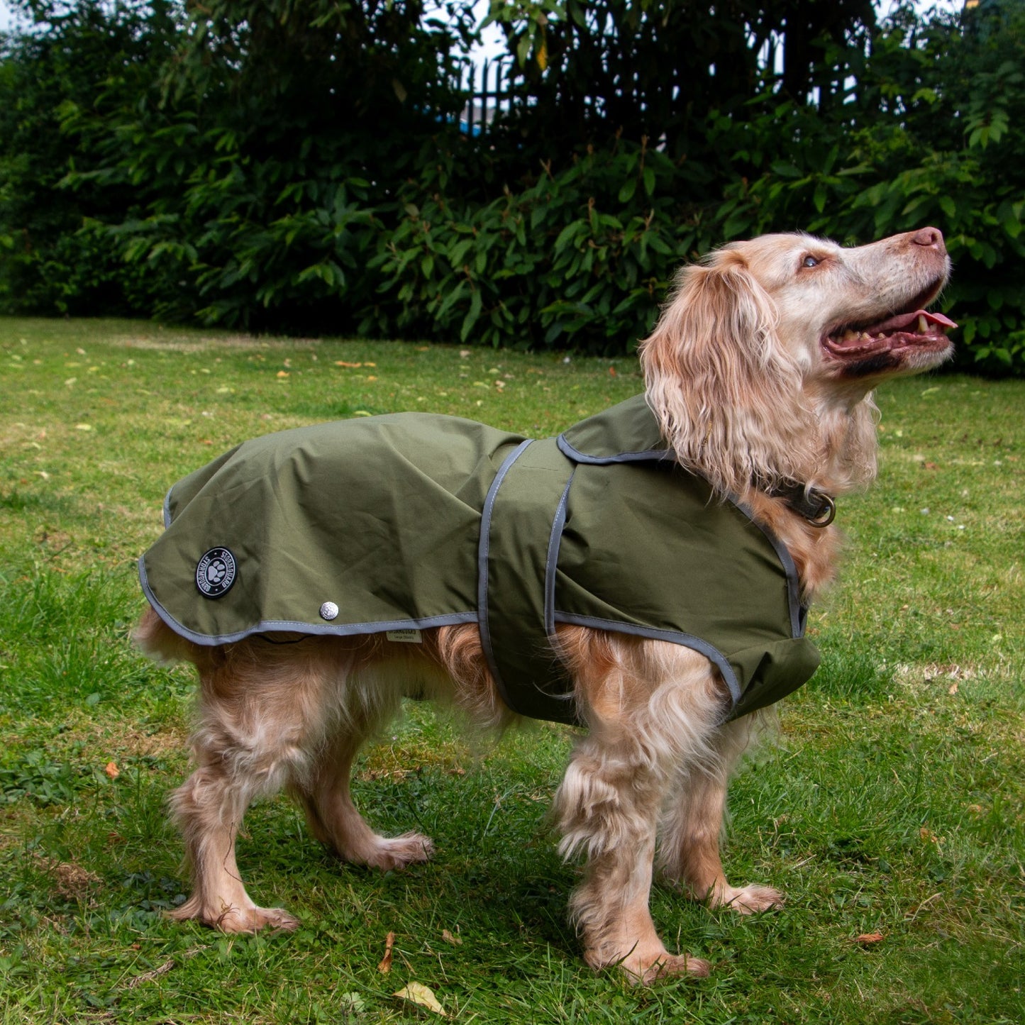 Stormguard Softshell Waterproof Dog Coat