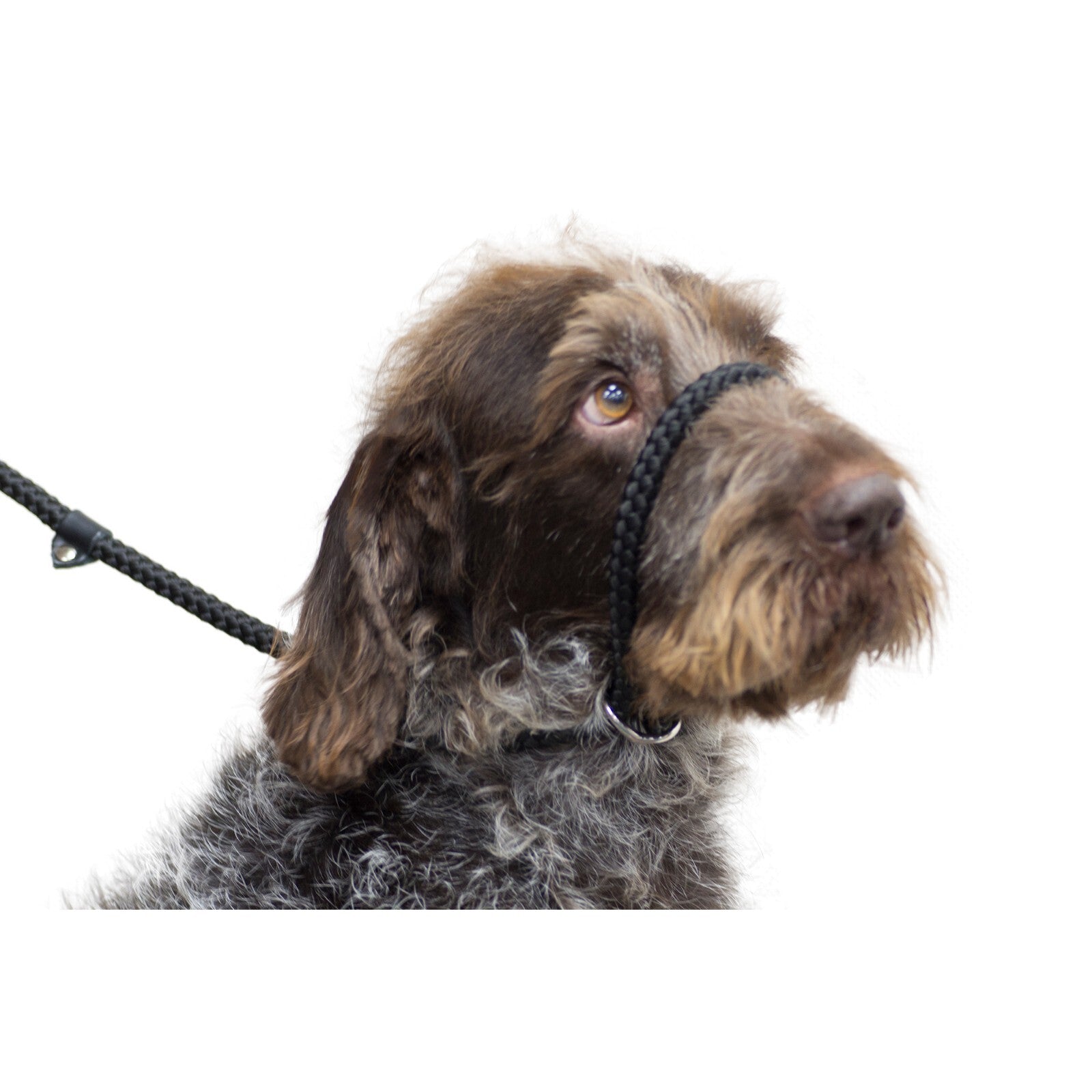 Ancol Rope Slip & Control Figure Eight Control Lead | Dogs 1.5mx12mm