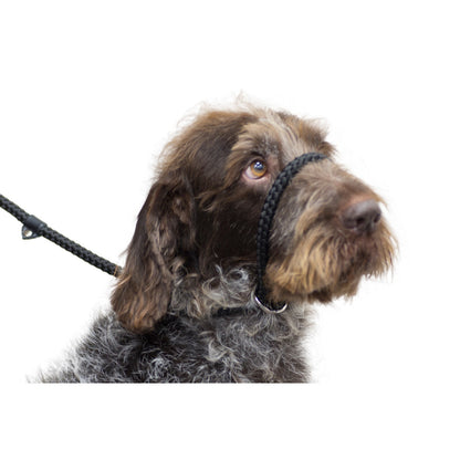 Ancol Rope Slip & Control Figure Eight Control Lead | Dogs 1.5mx12mm