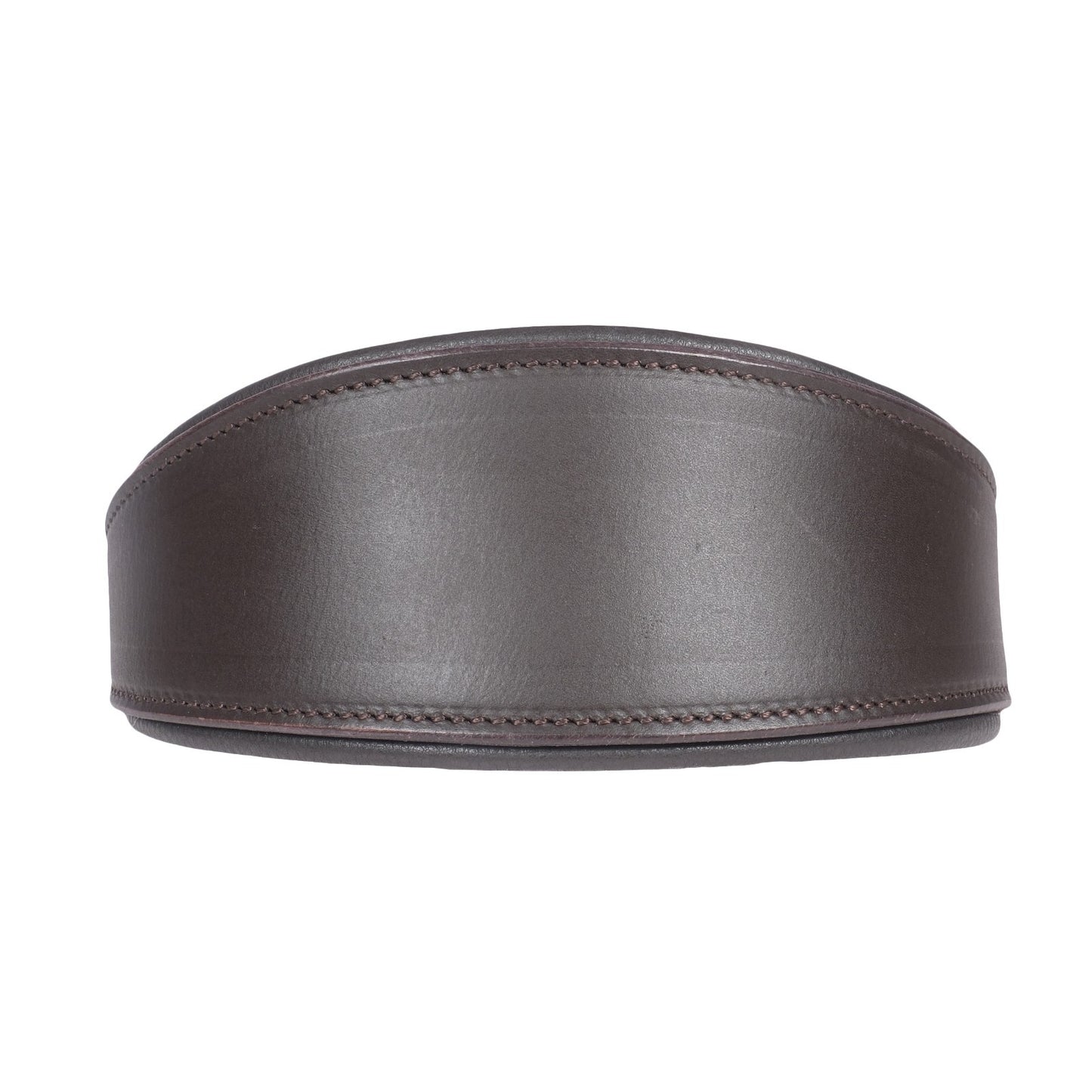 Padded Leather Whippet/Hound Collar