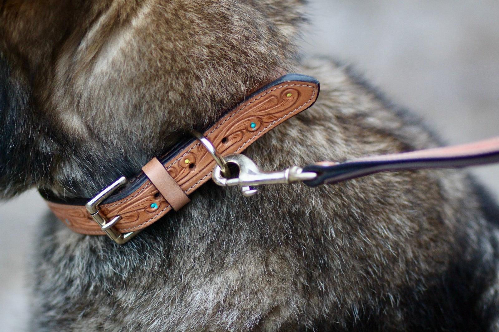 Padded Hand Tooled Tan Leather Dog Collar with Matching Lead