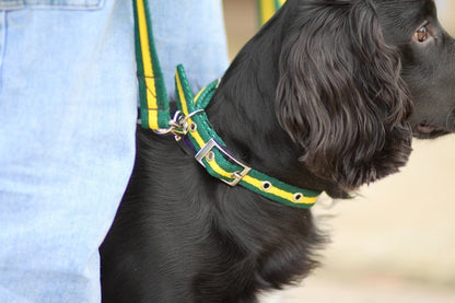 Mystery Box - Horse and Dog Accessories from Libbys