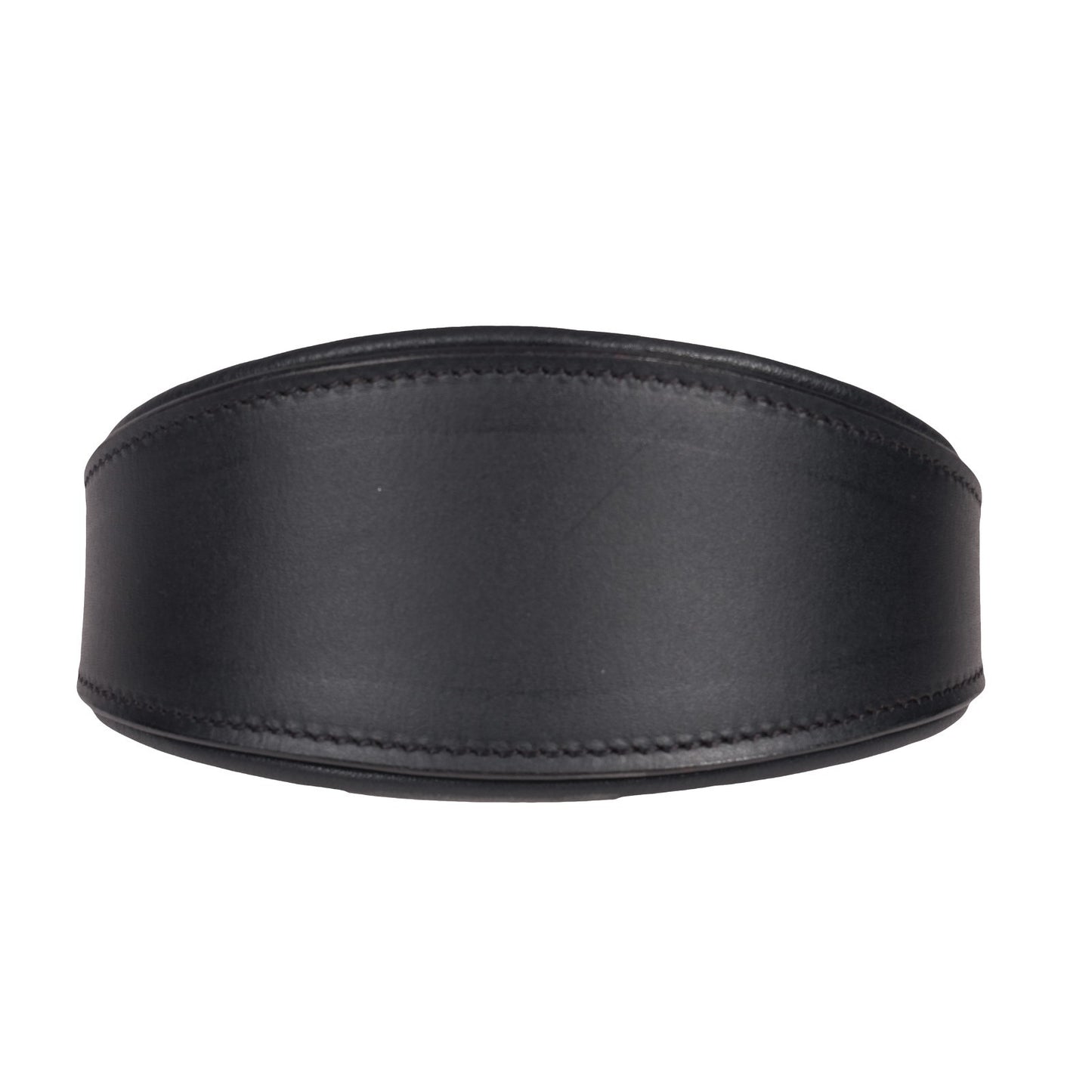 Padded Leather Whippet/Hound Collar