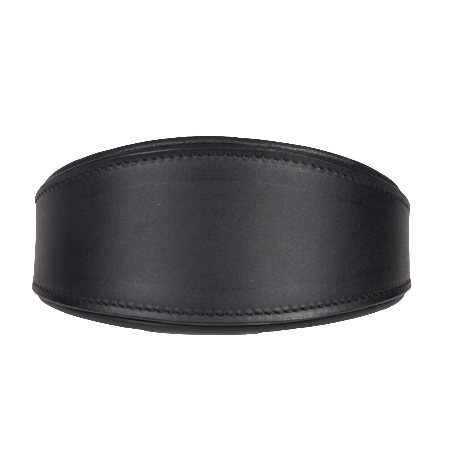 Padded Leather Whippet/Hound Collar