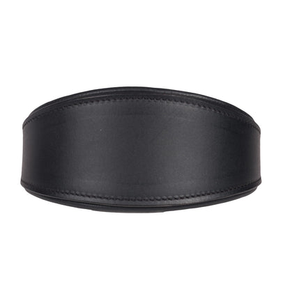 Padded Leather Whippet/Hound Collar