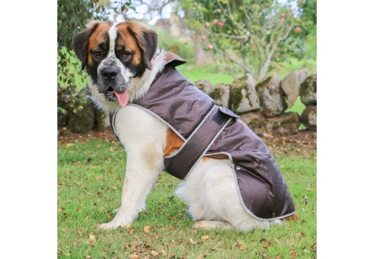 Ancol Stormguard Waterproof Dog Coat