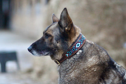 Padded Brown Leather Beaded Dog Collar