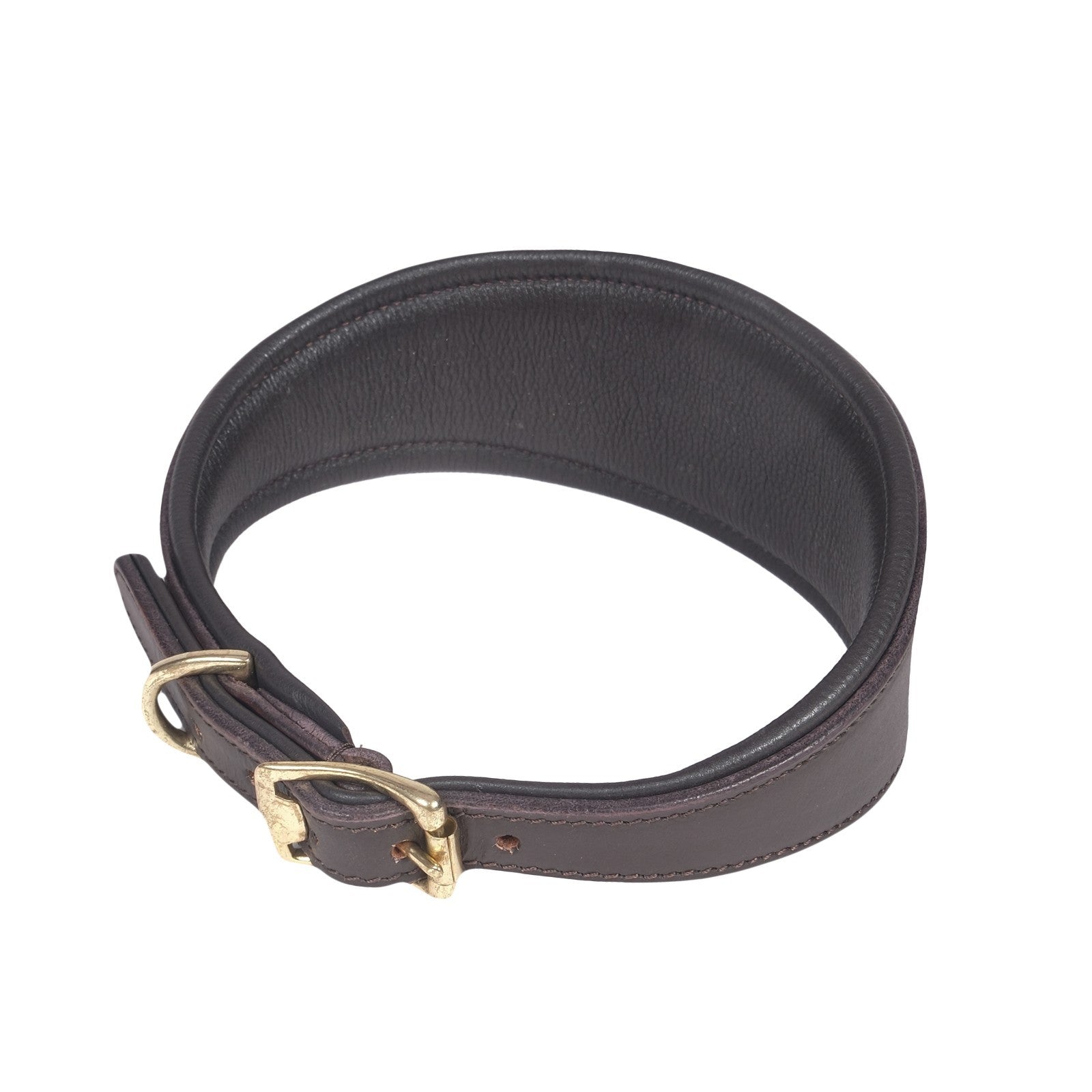 Padded Leather Whippet/Hound Collar