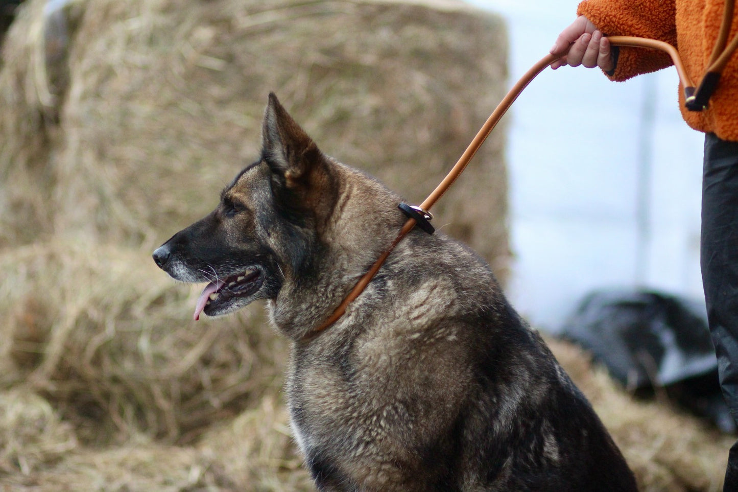 Tan Brown Soft Rolled Leather Slip Lead