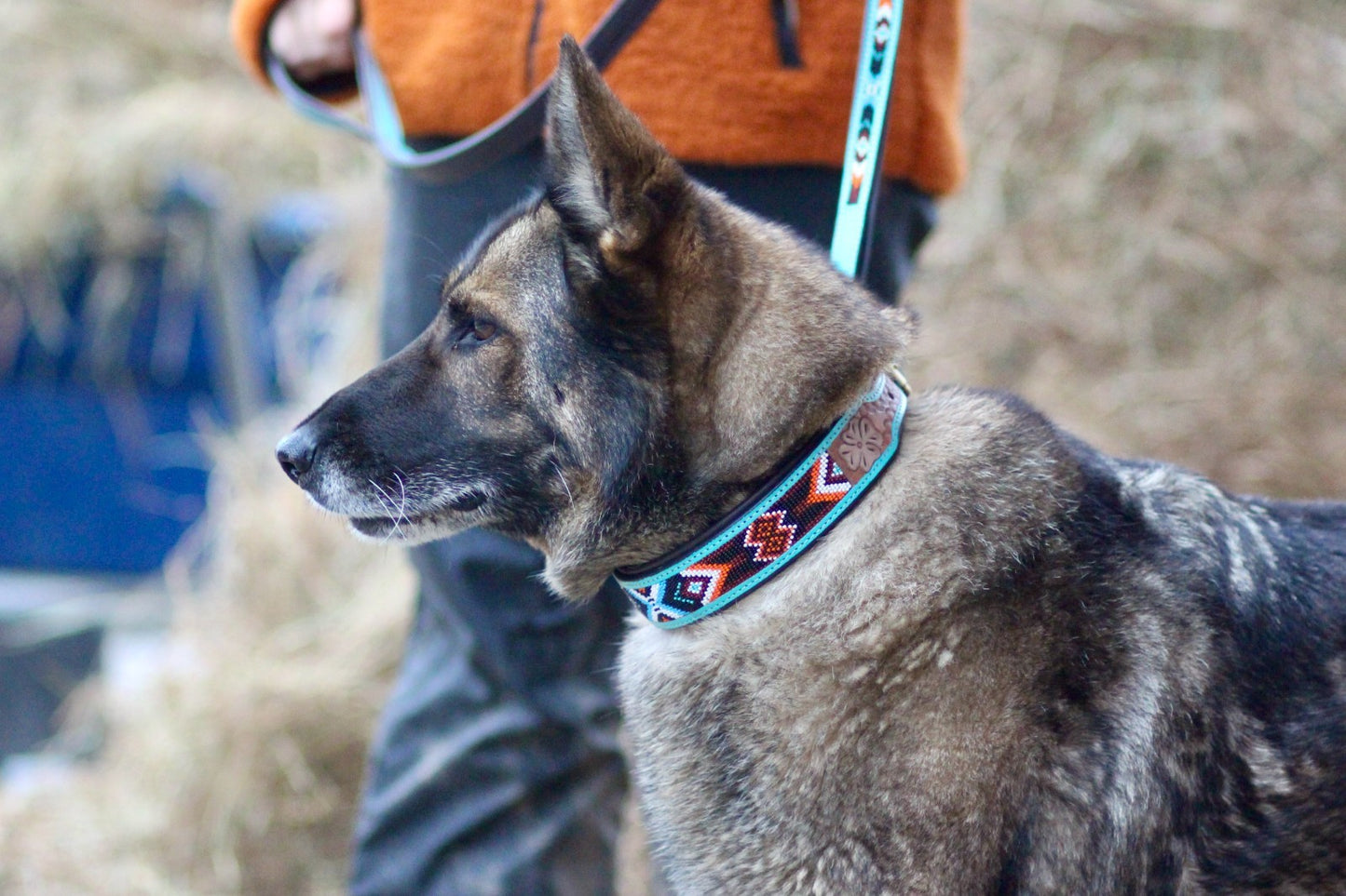 Handmade Padded Turquoise and Brown Leather Beaded Dog Collar with Matching Lead