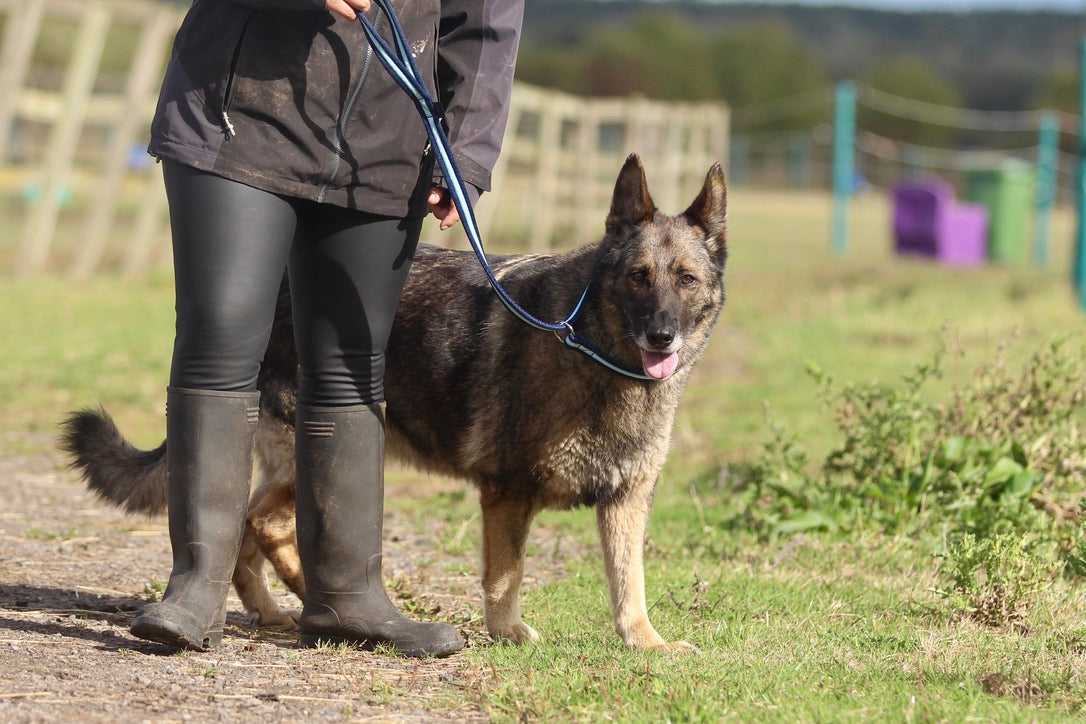 Cushion Web Slip Lead