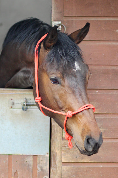 Knotted Pressure Halter